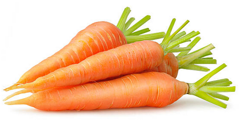 Carottes 